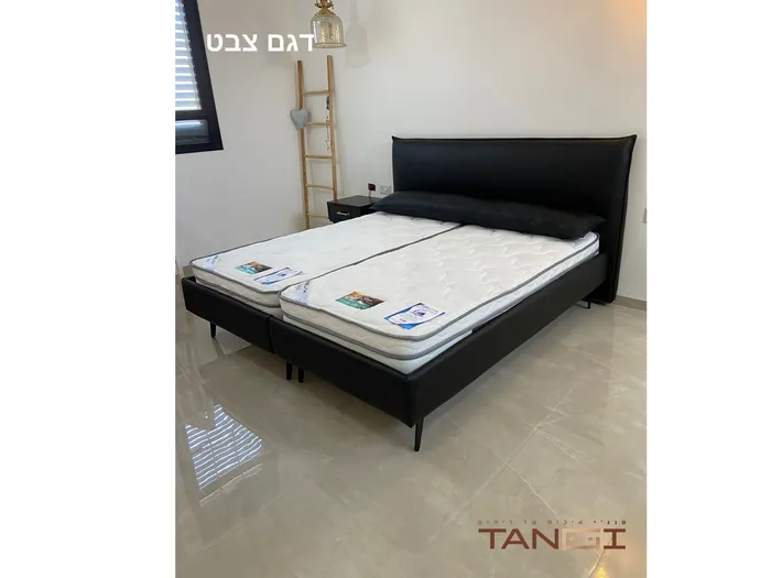 דגם צבט יהודית